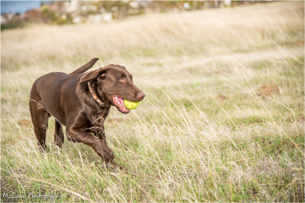 Field Time blog-4