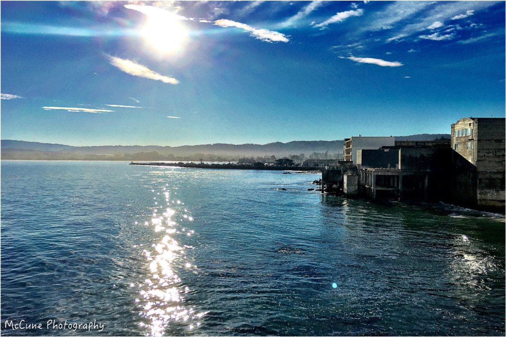 Monterey 2016 blog-01